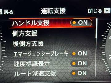 複数画像30