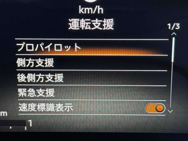 複数画像42