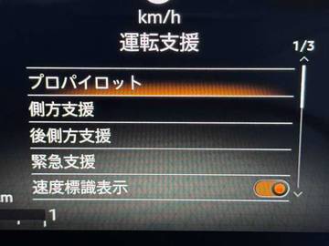 複数画像42