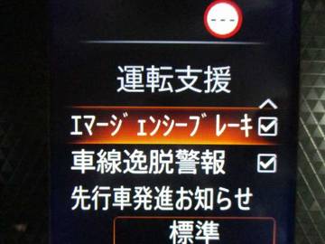 複数画像13