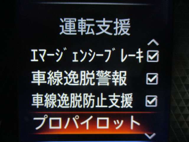 複数画像13