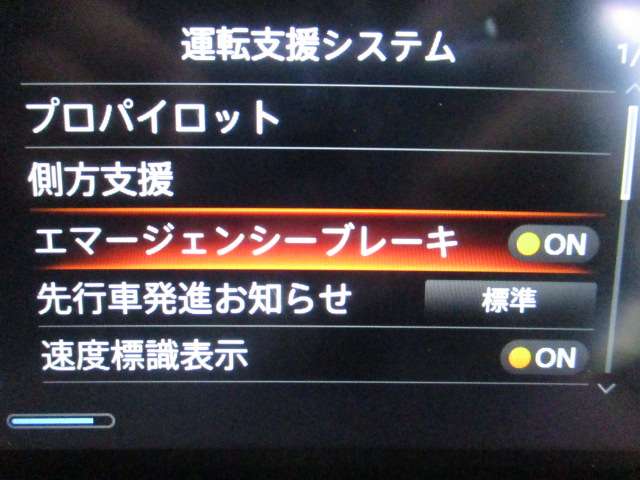 複数画像30