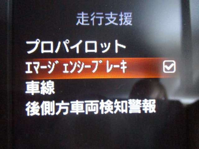 複数画像30