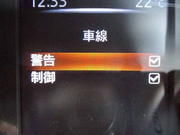複数画像31