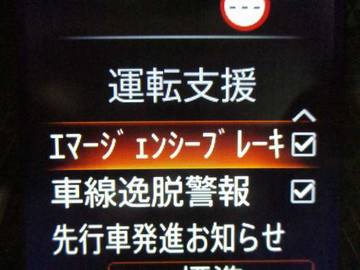複数画像30
