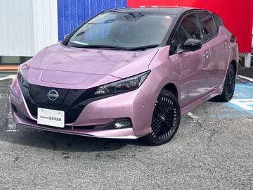 e+ G コネクトナビ　プロパイロット