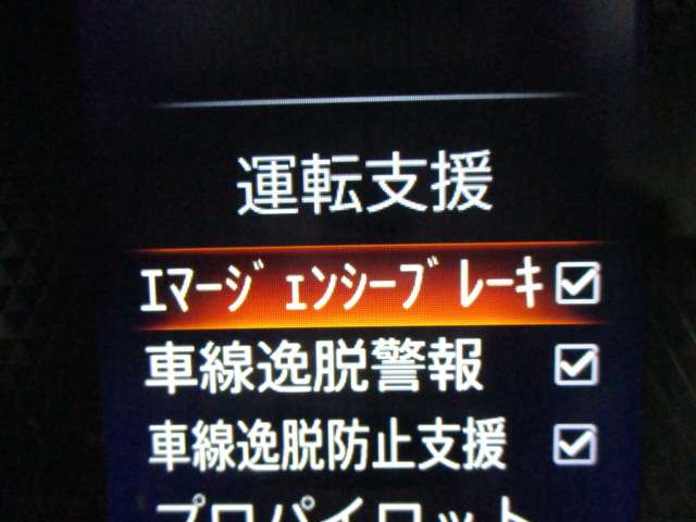 複数画像30