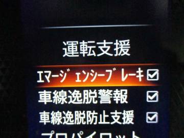 複数画像30