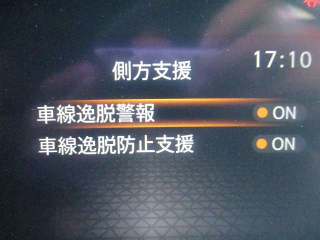 複数画像30