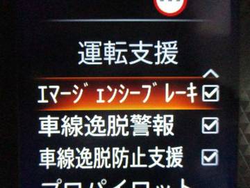 複数画像33