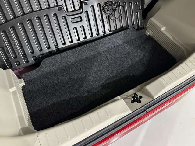 複数画像43
