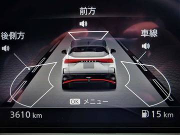 複数画像41