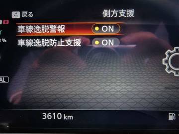 複数画像43