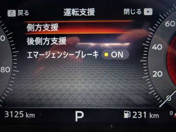 複数画像45