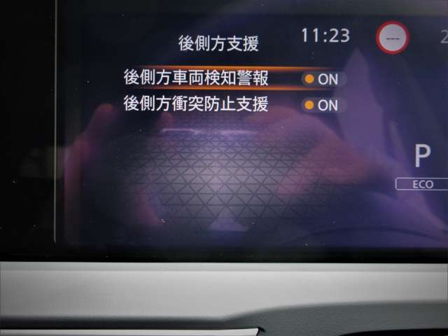複数画像45