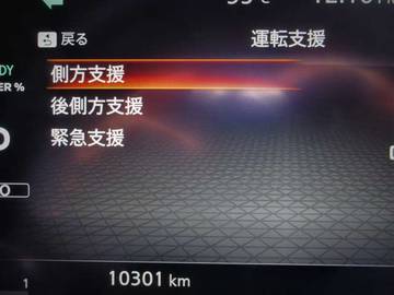 複数画像41