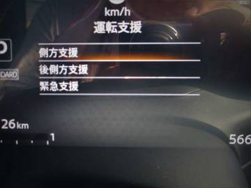 複数画像45
