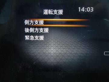 複数画像44