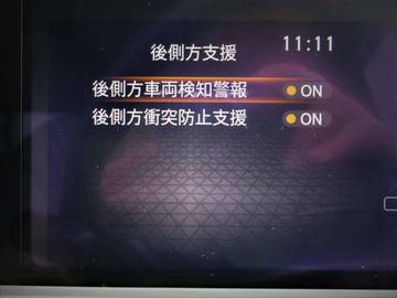 複数画像41