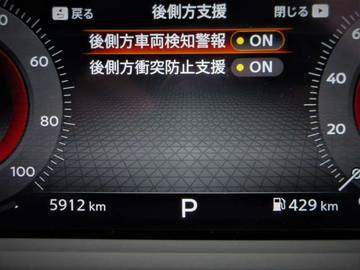 複数画像44