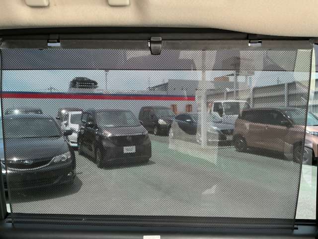 複数画像30