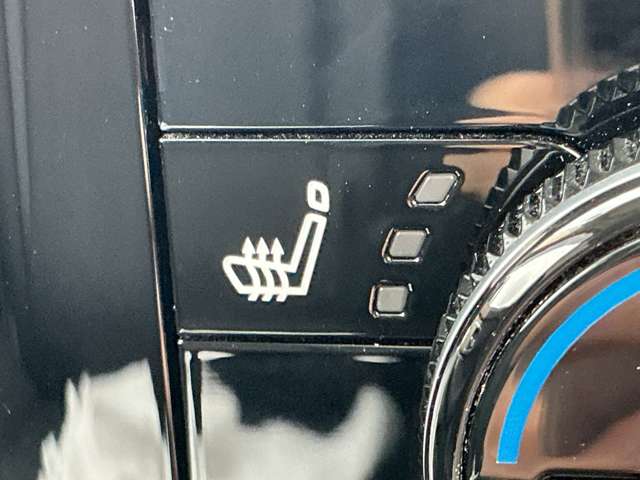 複数画像30