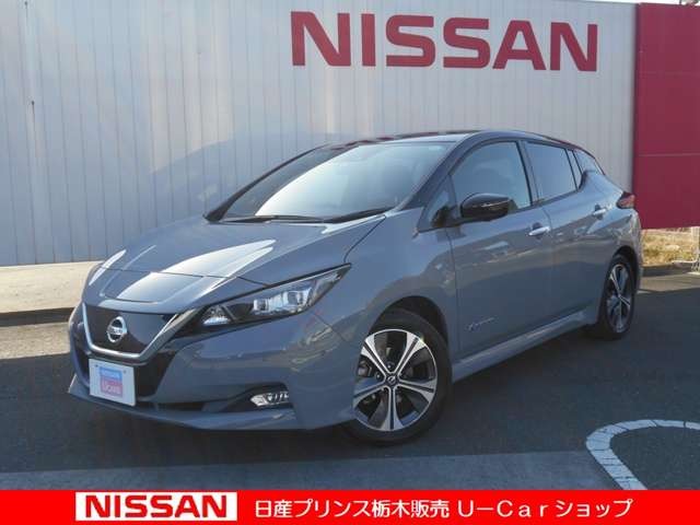 リーフ 栃木 の中古車 日産公式中古車検索サイト