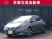 日産 リーフ G プロパイロットメーカーナビ全方位カメラド