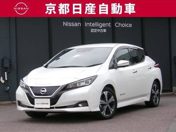 G プロパイロットメーカーナビ全方位カメラド