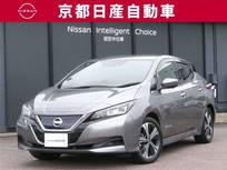 日産 リーフ X Vセレクション プロパイロット ナビ全方位カメラ ドラレコ