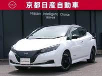 日産 リーフ X Vセレクション プロパイロット NCナビ 全方位カメラ ドラ