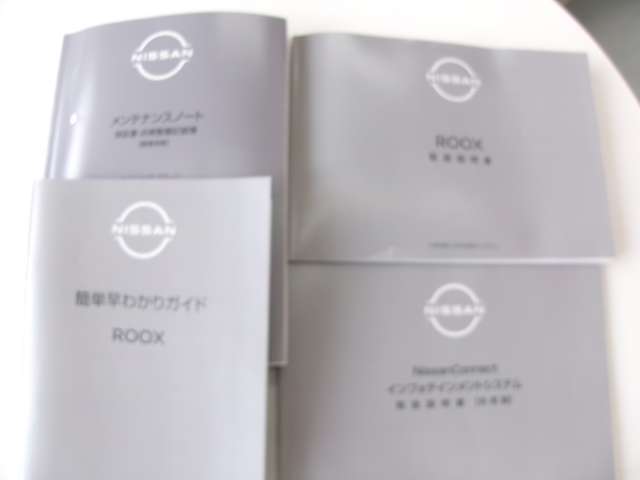 複数画像21