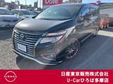 日産 エルグランド 2500cc 2.5 250ハイウェイスター プレミアム アーバンクロム ツインモニターツインサンルーフ本革シート