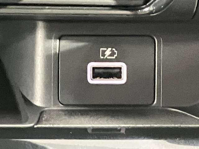 複数画像30