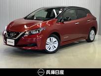 日産 リーフ X 12セグメント