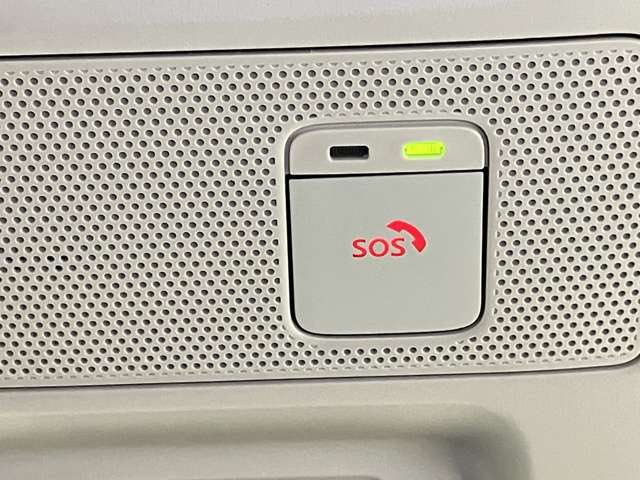 複数画像30