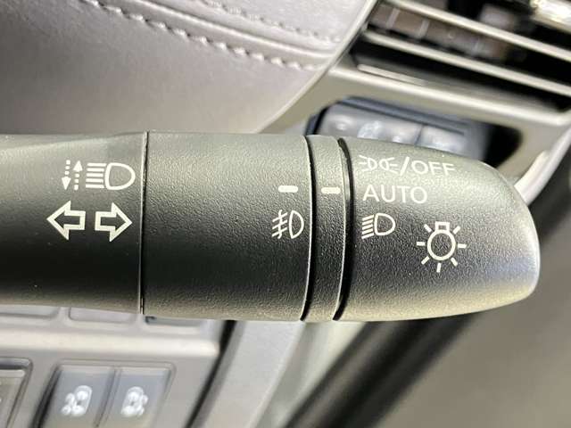 複数画像40