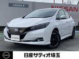 日産 リーフ e+ G NissanConnectナビ&アラウンドビュ-モニタ