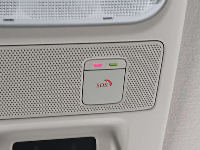 複数画像30