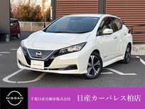日産 リーフ X Vセレクション 衝突被害軽減ブレーキ・踏み間違い防止装置