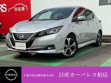 e+ G プロパイロット ETC付 寒冷地仕様