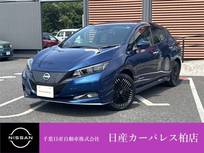 日産 リーフ e+ G 充電ケーブル付・衝突被害軽減ブレーキ