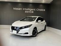 日産 リーフ X メモリーナビ HDMI AVM クルコン ドラレコ