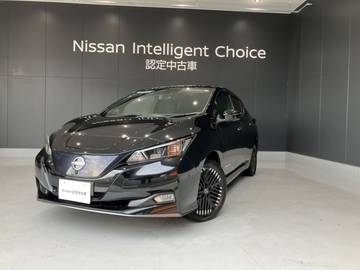 リーフ e+ G 元社用車 プロパイロット BOSE ドラレコ