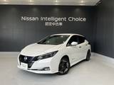 日産 リーフ X メモリーナビ AVM プロパイロット 寒冷地仕