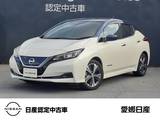 日産 リーフ X プロパイロット・シートヒーター・ETC