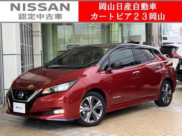 e+ G 7型EV専用ナビ&全周囲プロパイロット