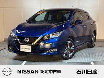 G プロパイロット　シートヒーター