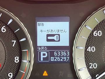 複数画像30