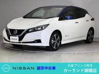 日産 リーフ X 10万台記念車 ドラレコ ETC プロパイロット 純正ナビ Blu